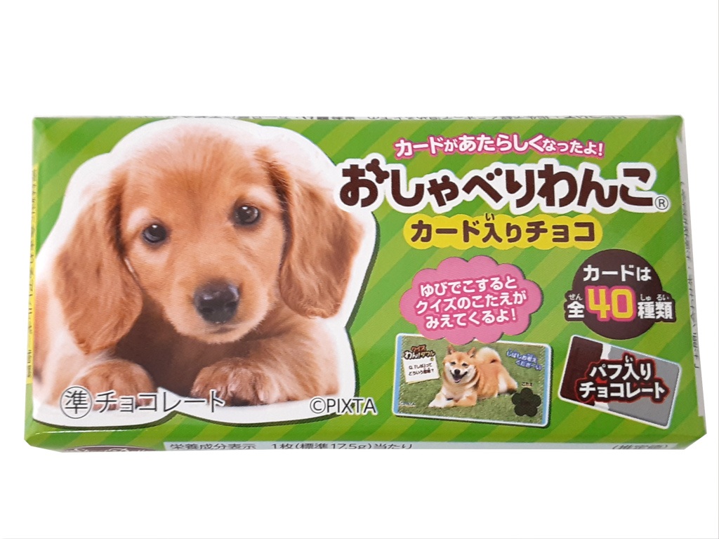 おしゃべりわんこ １枚
