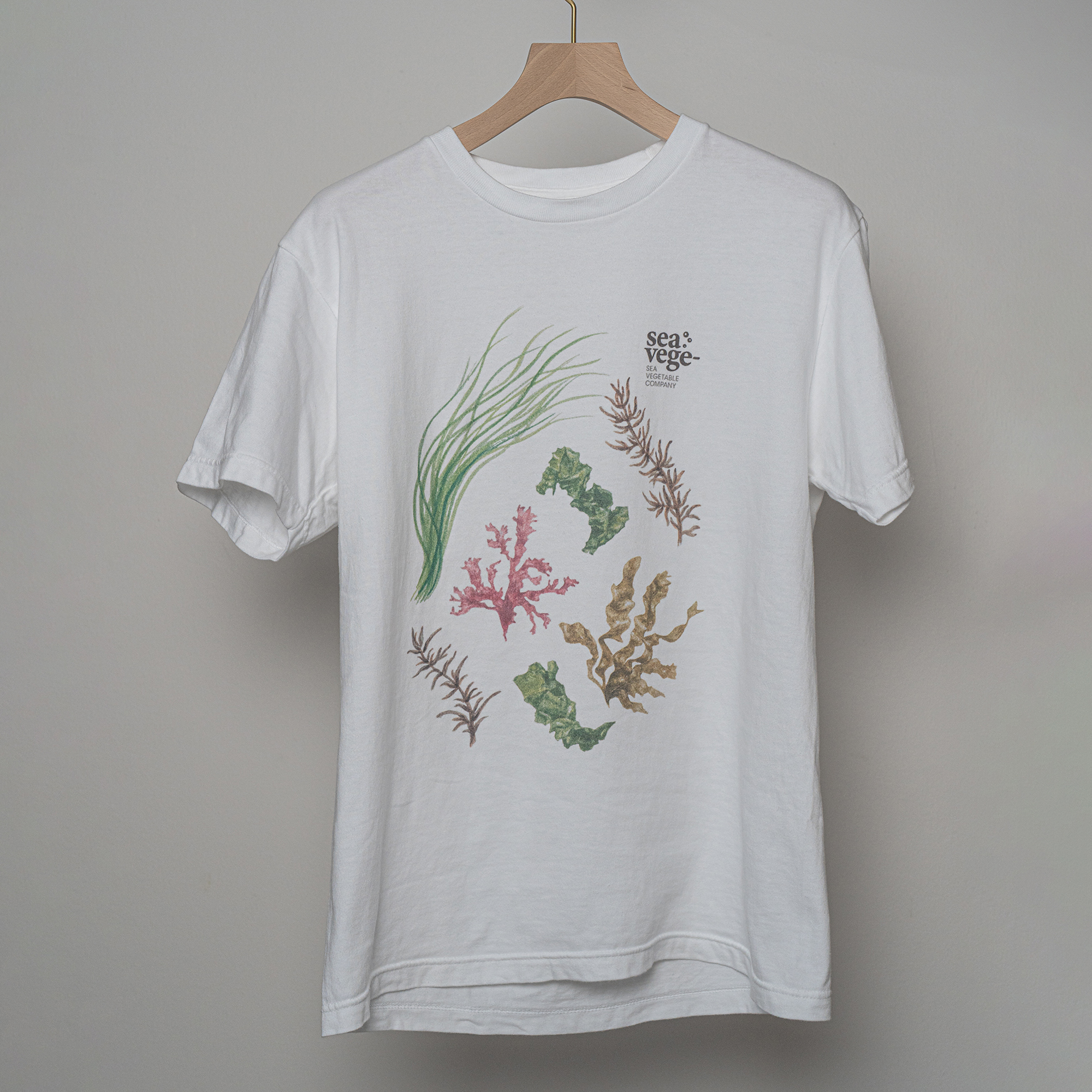 オリジナル海藻Tシャツ