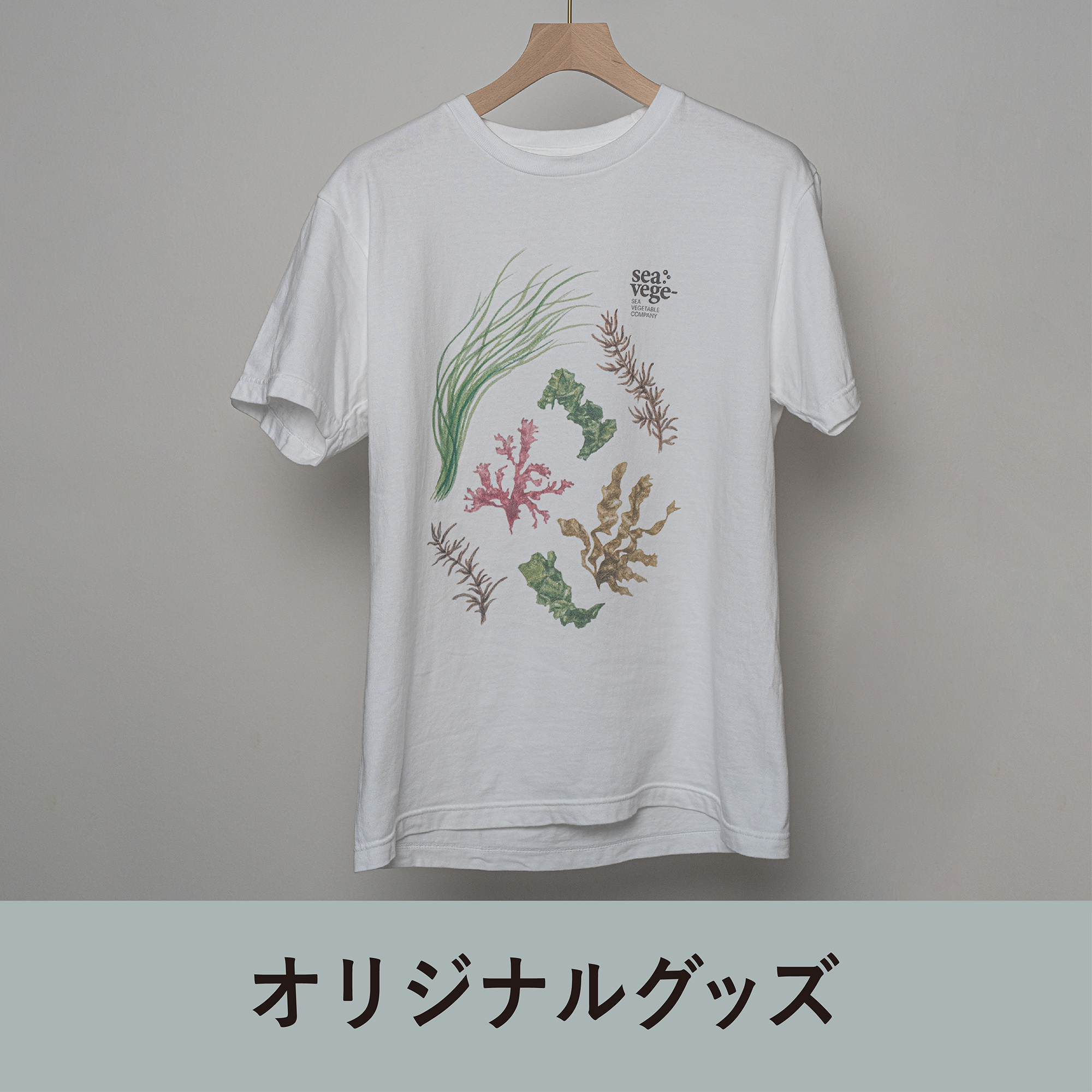 オリジナル海藻Tシャツ
