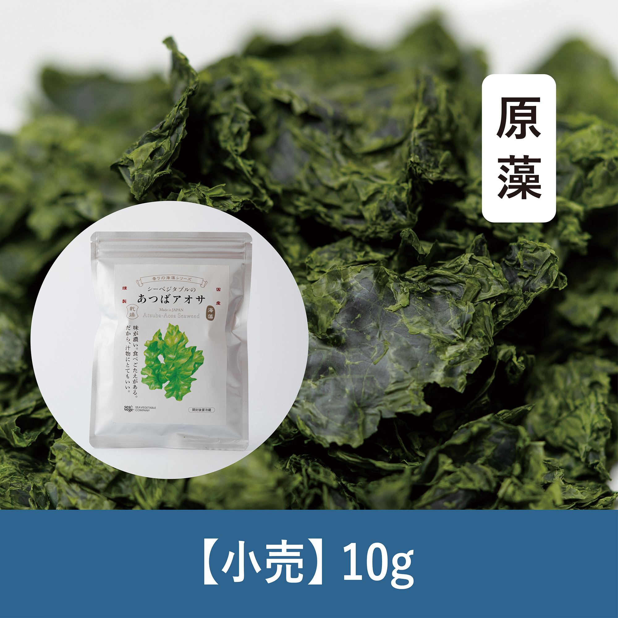 【10g】あつばアオサ原藻