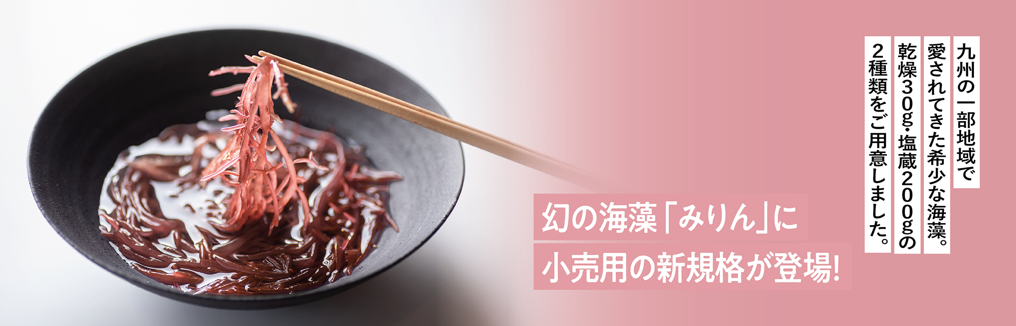 幻の海藻「みりん」に小売用の新規格が登場。乾燥30g・塩蔵200gをご用意しました。