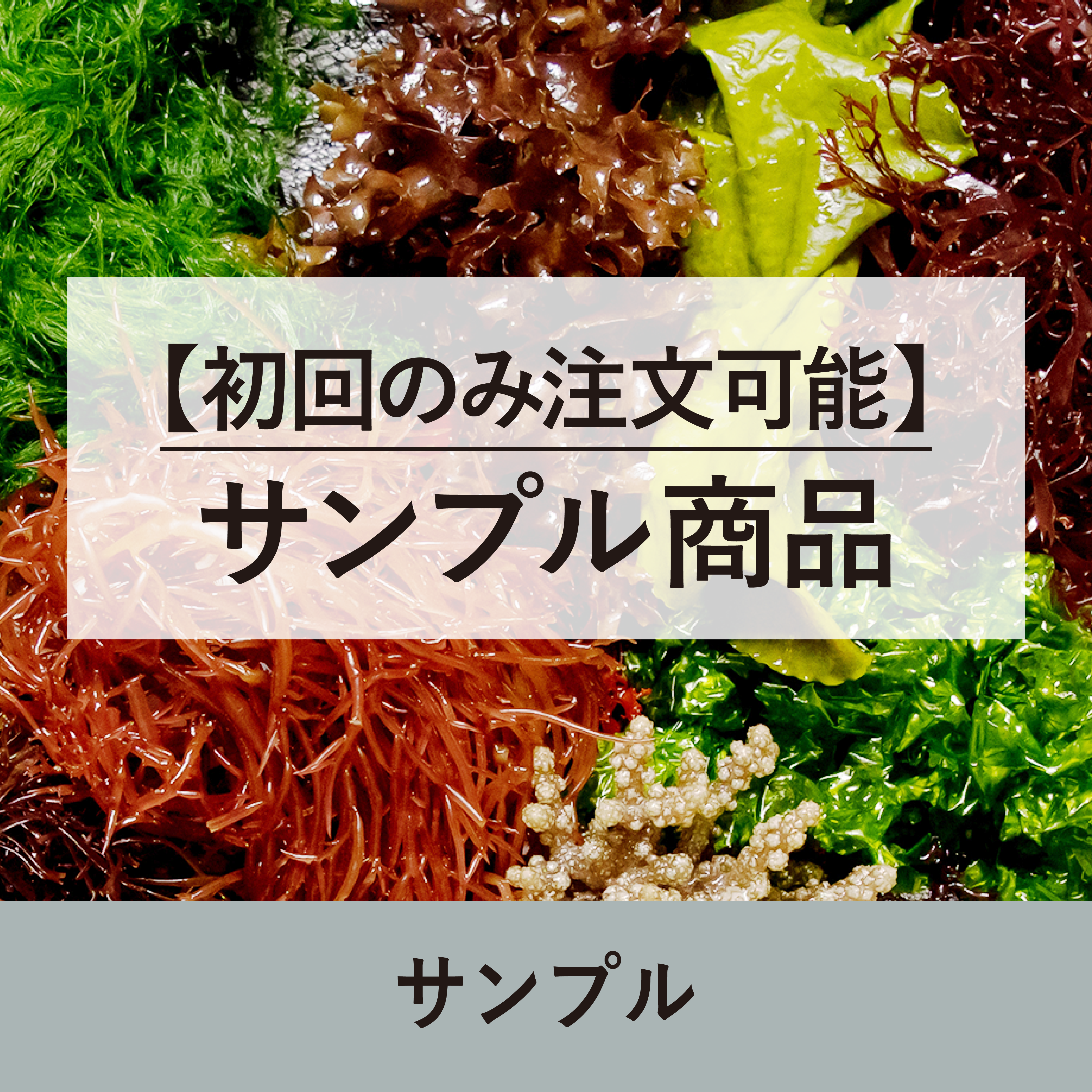 【初回のみ注文可能】サンプル商品