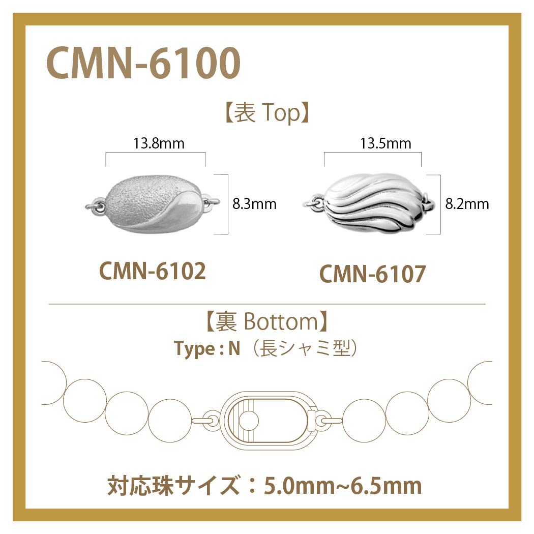 CMN-6100