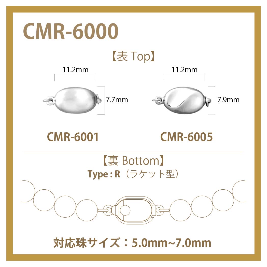 CMR-6000