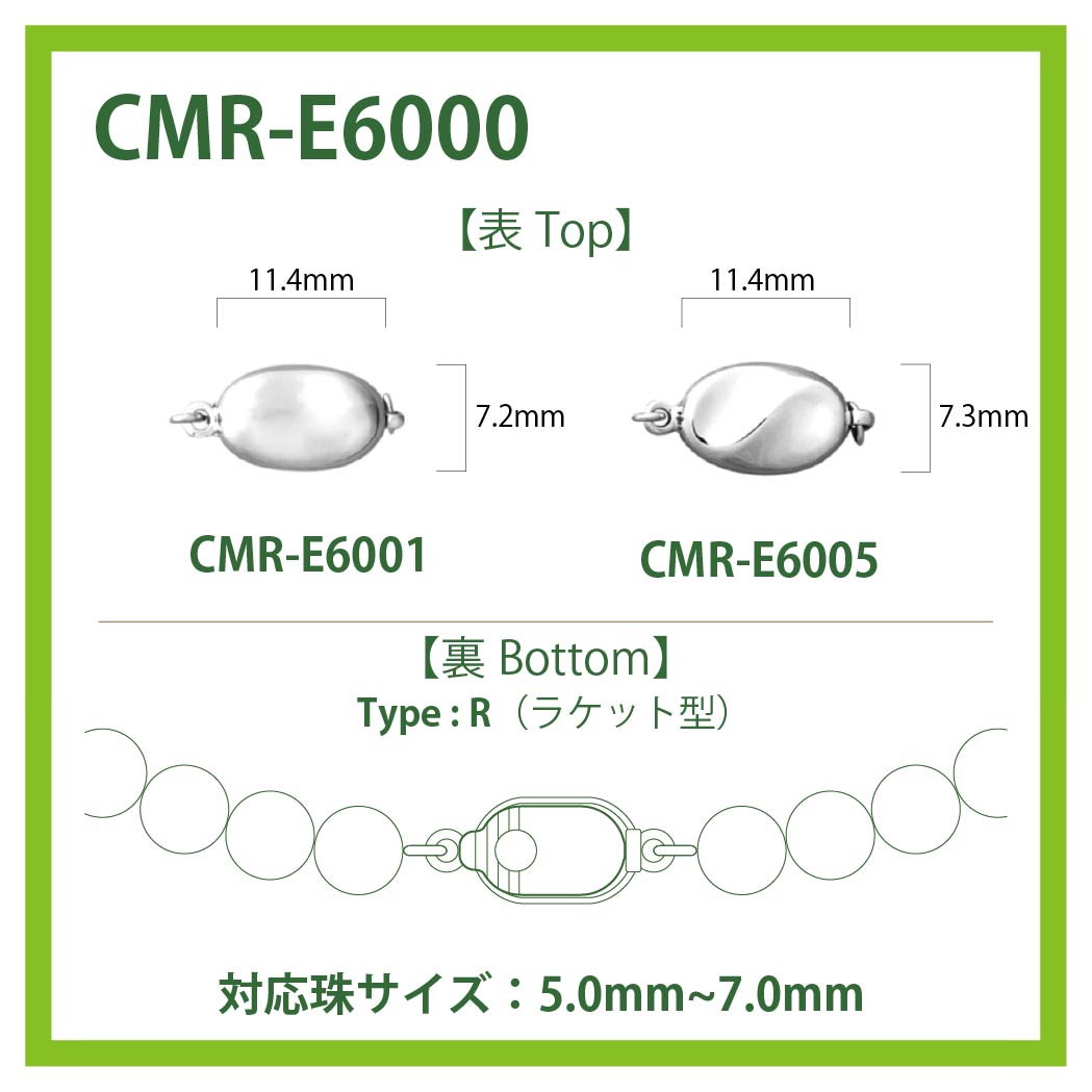 E6000