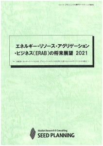 エネルギー・リソース・アグリゲーション・ビジネス（ERAB）の将来展望 2021