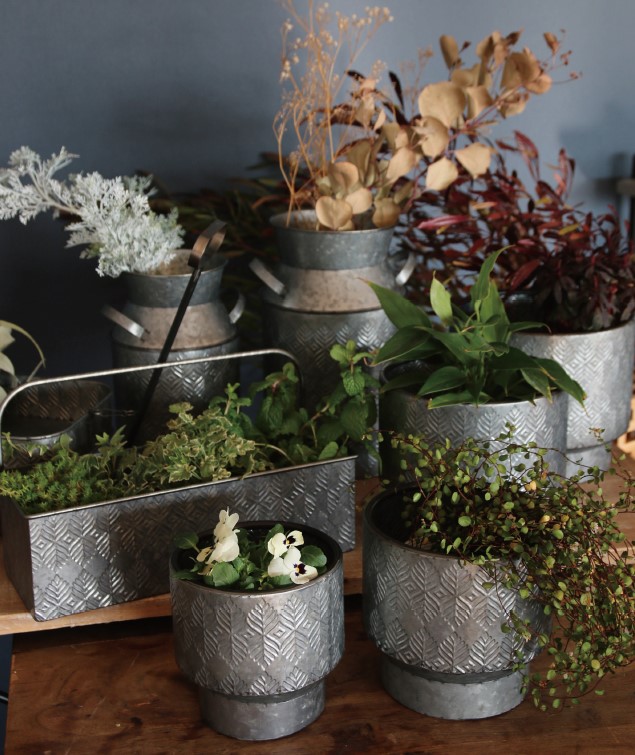 P．５９～６２　ノルディックリーフ