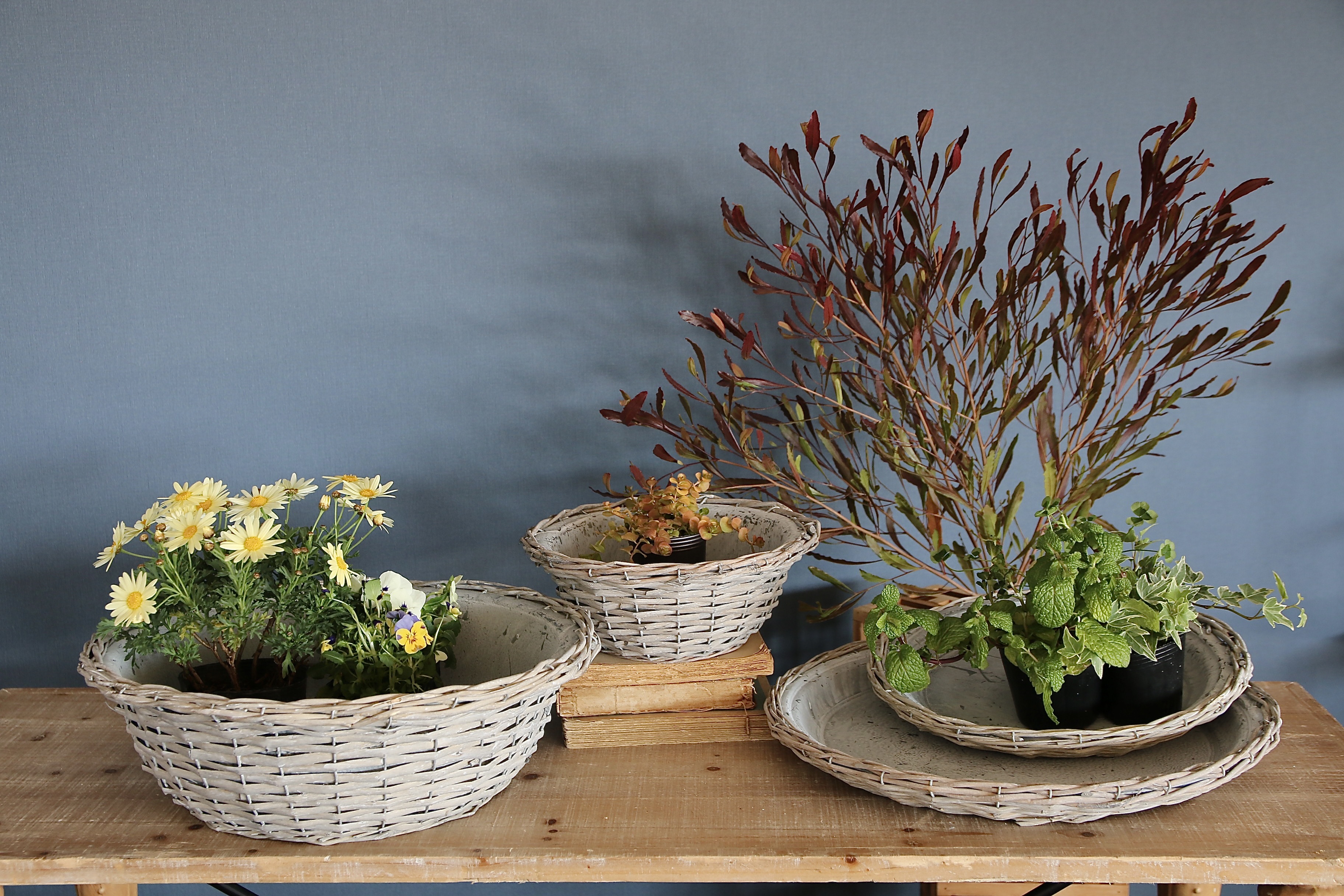 P．７６　かご編みアンティーク