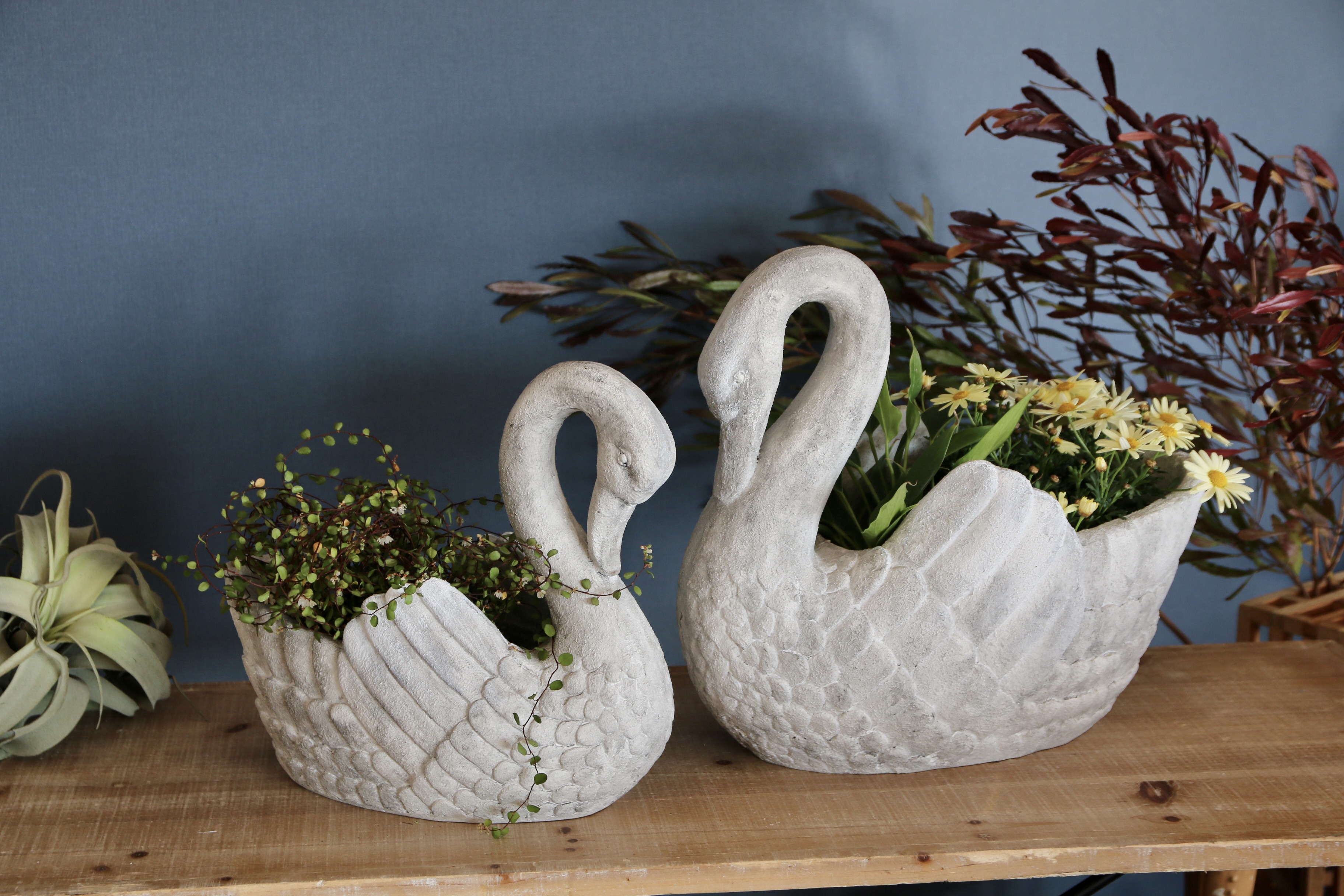 P．７　スワンポット