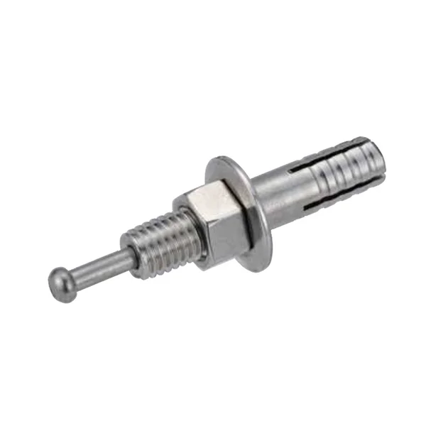 浅野 オールアンカー