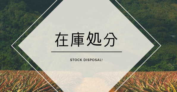 【在庫処分】フエンダ- HTM2 ホワイト