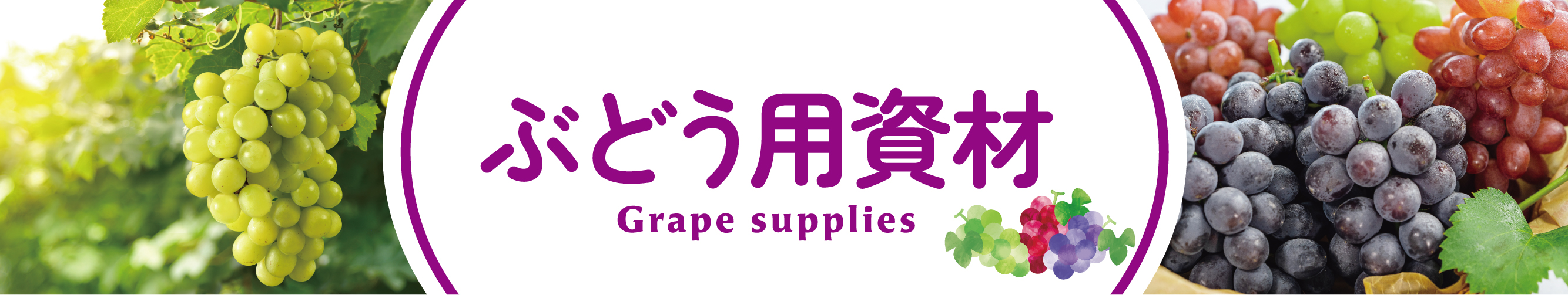ぶどう用資材