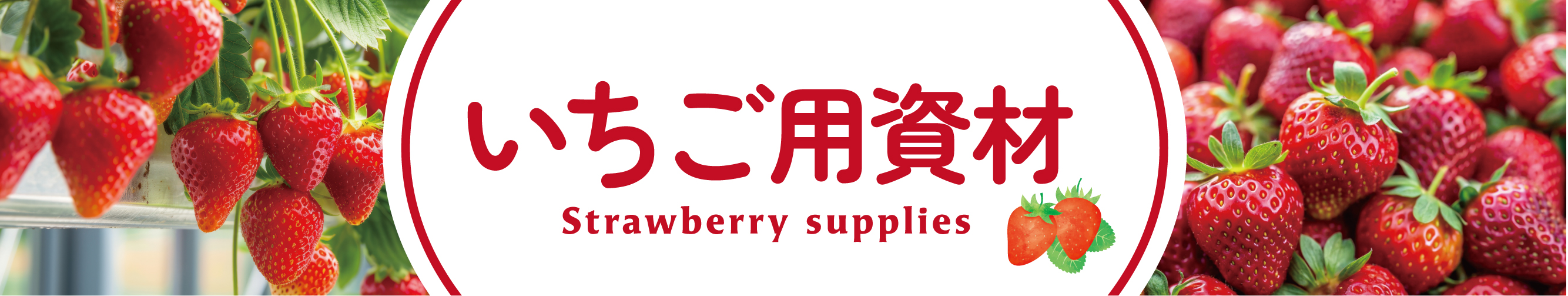 イチゴ用資材