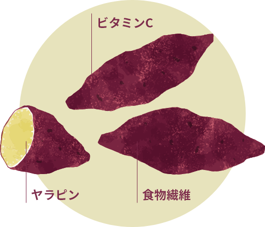 ビタミンC、ヤラピン、食物繊維