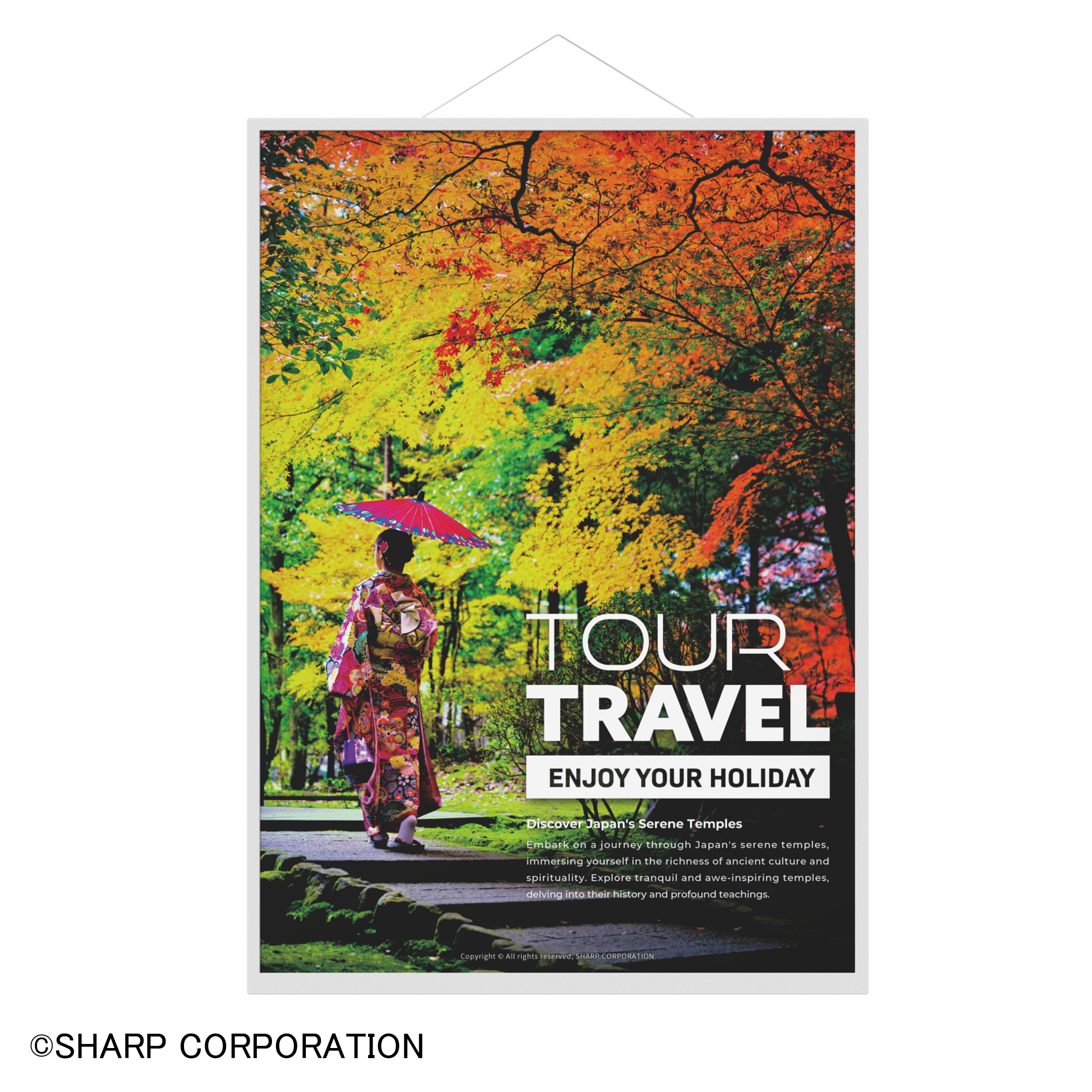 【A2 ePoster - カラー 】EP-CA22