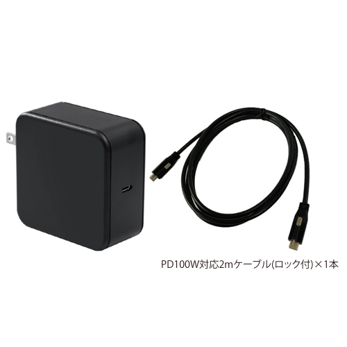NEP PD(Power Delivery)対応 USB充電器 USB-SY100W-LOCK1C