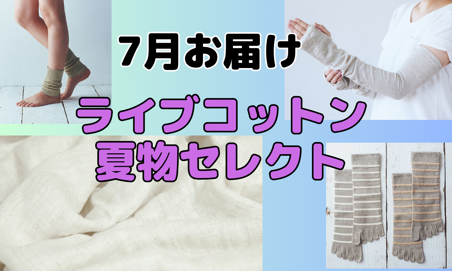 ライブコットン特集（7月お届け）
