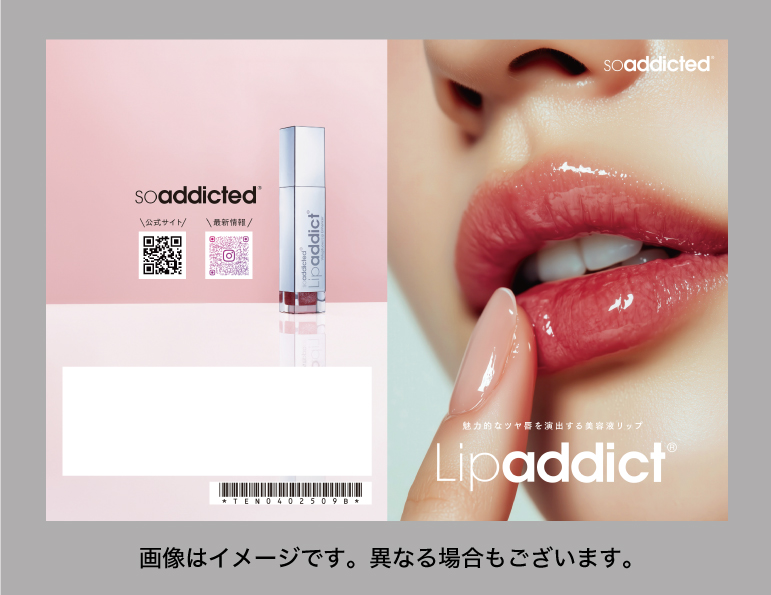 リップアディクト リーフレット
