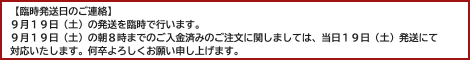 臨時発送バナー