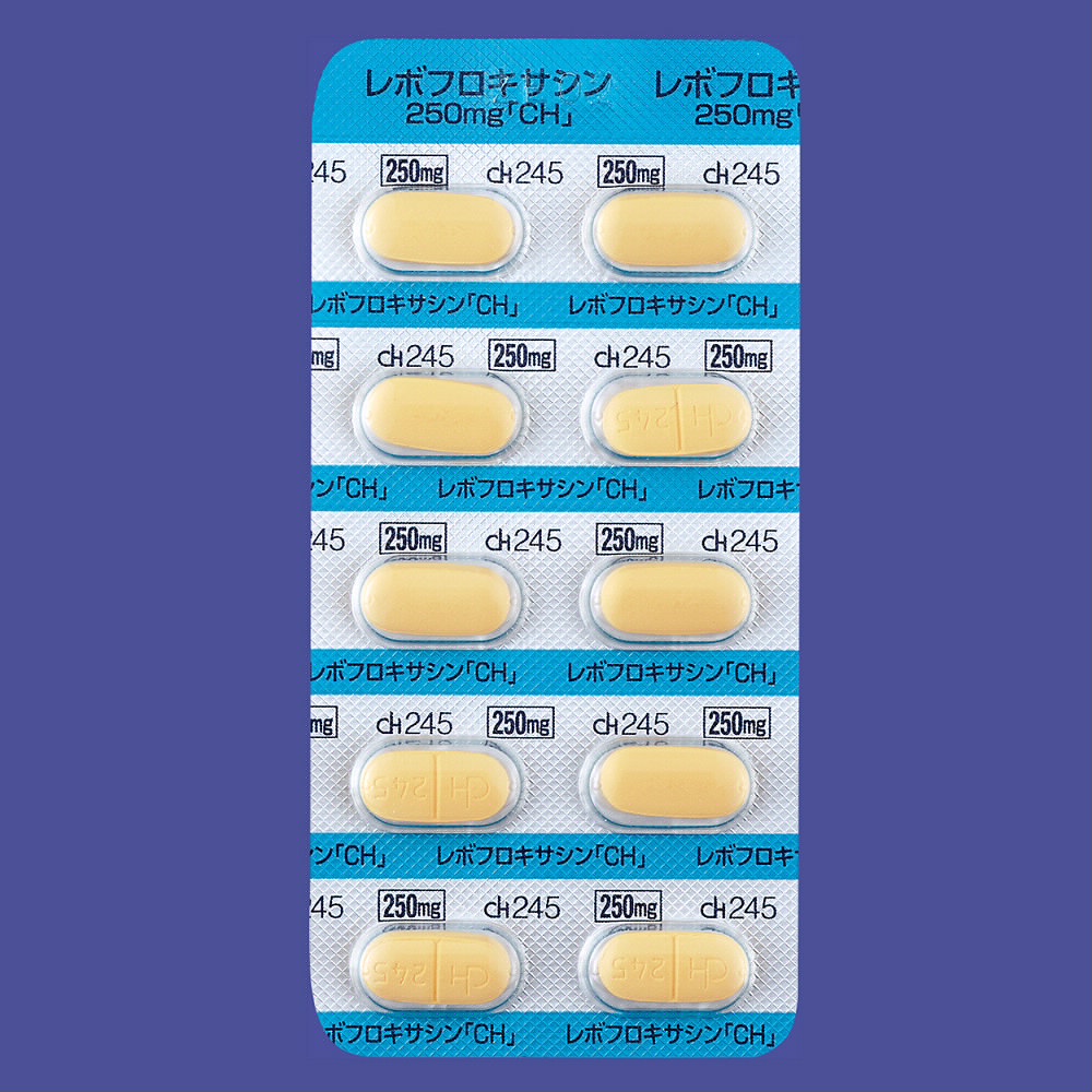 レボフロキサシン錠２５０ｍｇ「ＣＨ」 