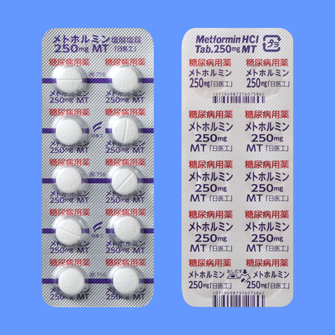 メトホルミン塩酸塩錠２５０ｍｇＭＴ「日医工」