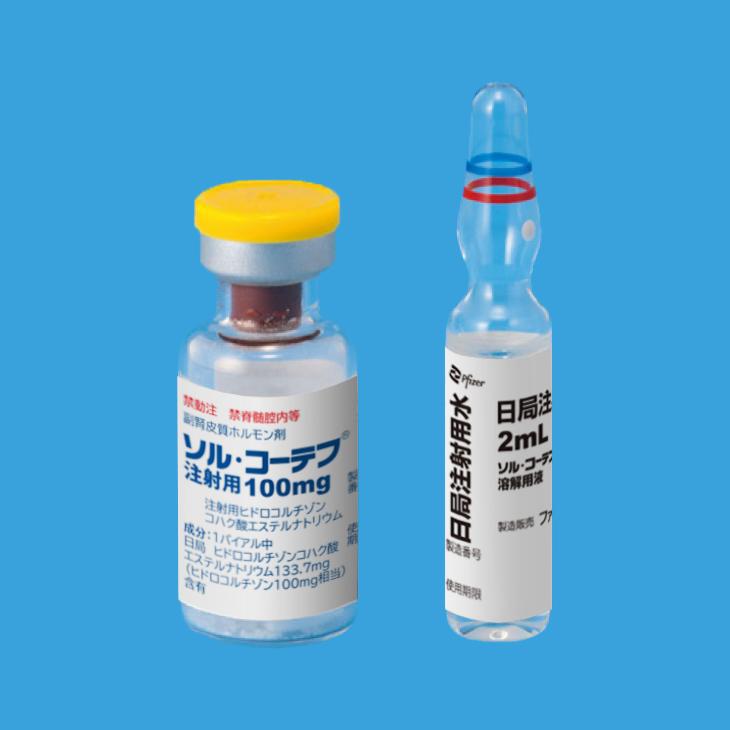 ソル・コーテフ注射用１００ｍｇ