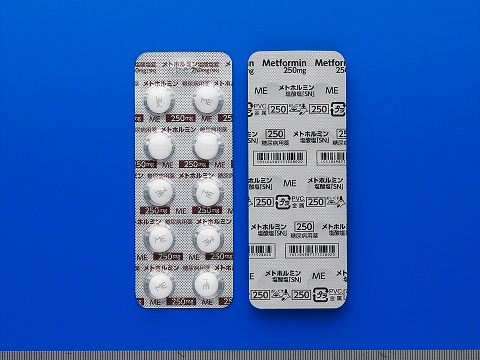 メトホルミン塩酸塩錠２５０ｍｇ「ＳＮ」
