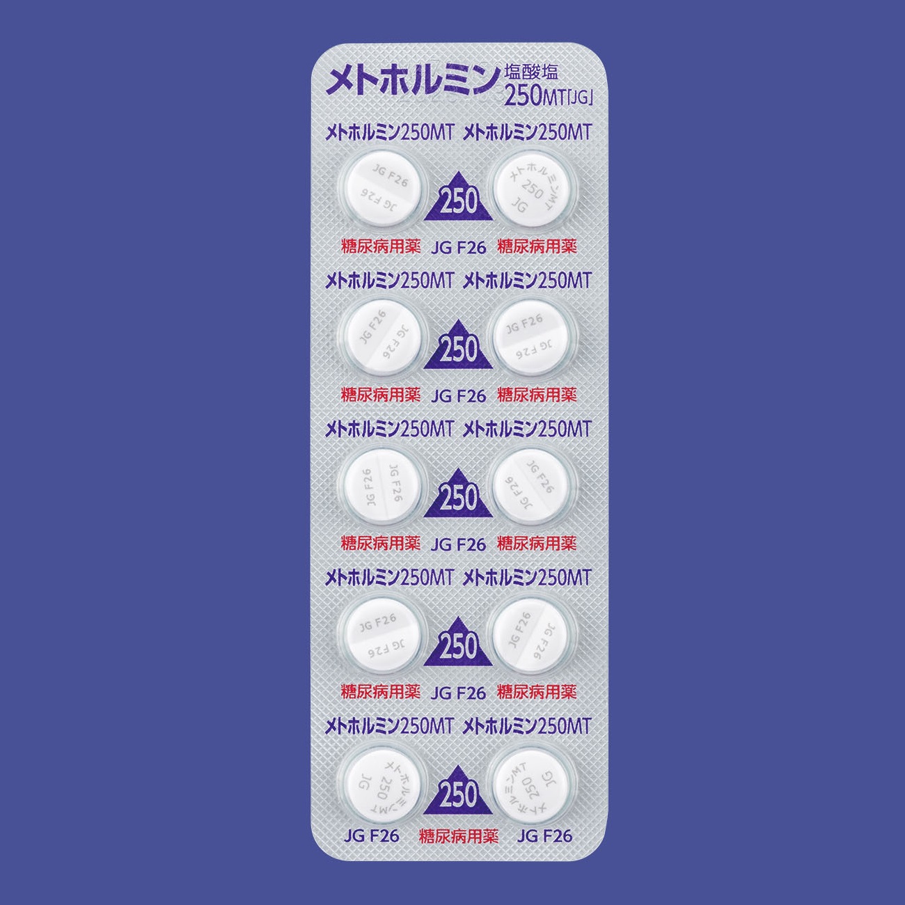 メトホルミン塩酸塩錠２５０ｍｇＭＴ「ＪＧ」