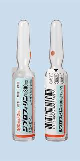 ジプロフィリン注３００ｍｇ「エーザイ」