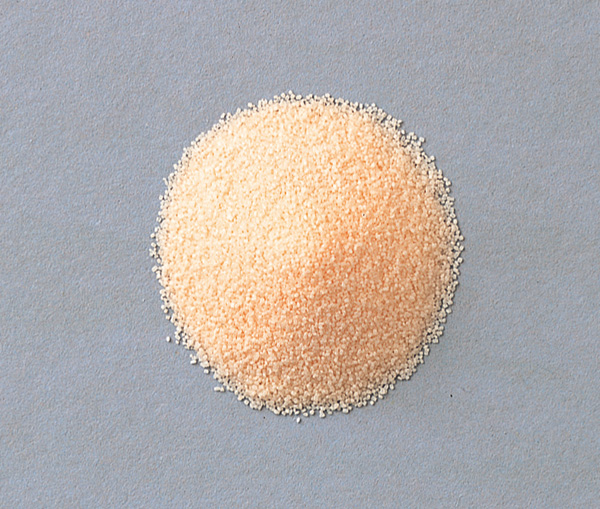 ビクシリンドライシロップ１０％