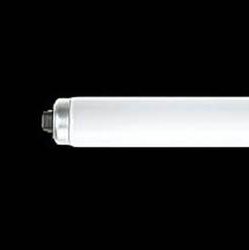 FLR110H・EX-D/A・100F3 3波長形直管蛍光灯　昼光色　100Ｗ【10本入り】