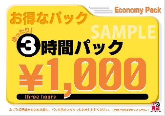 大型ポスター　Ａ２　〔３時間パック〕