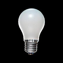 LW100V36W 白熱電球(ホワイトシリカ電球) 40W フロスト