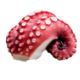 タコ