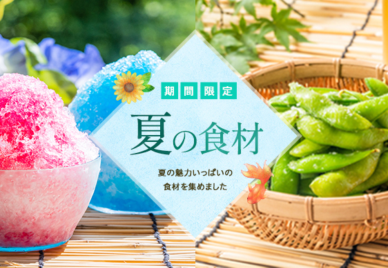 夏の食材特集