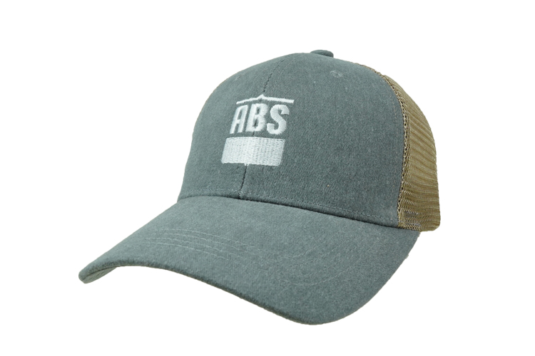 ABS01