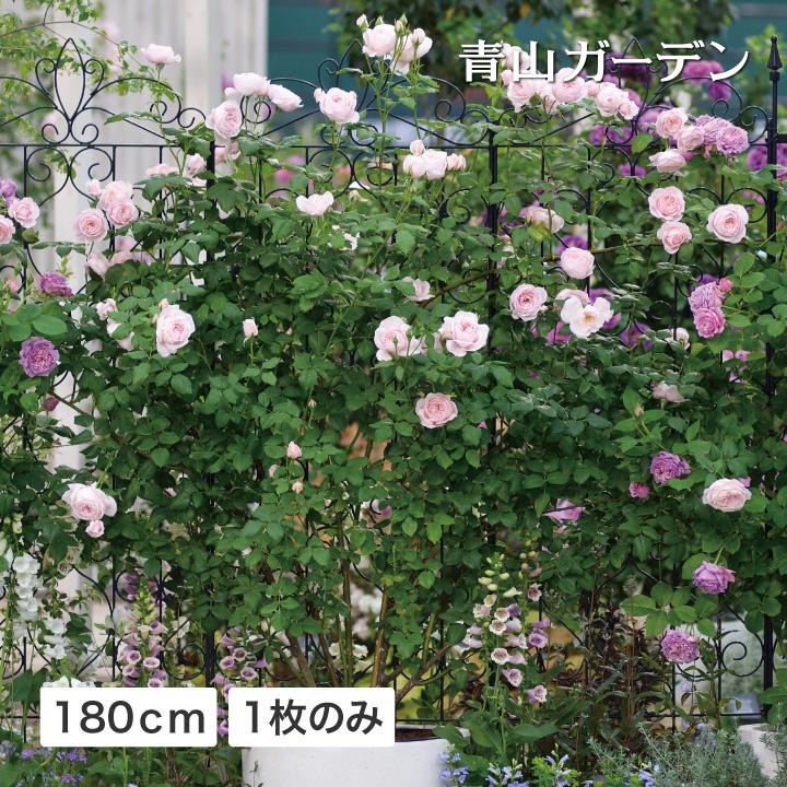 デザイントレリス1800