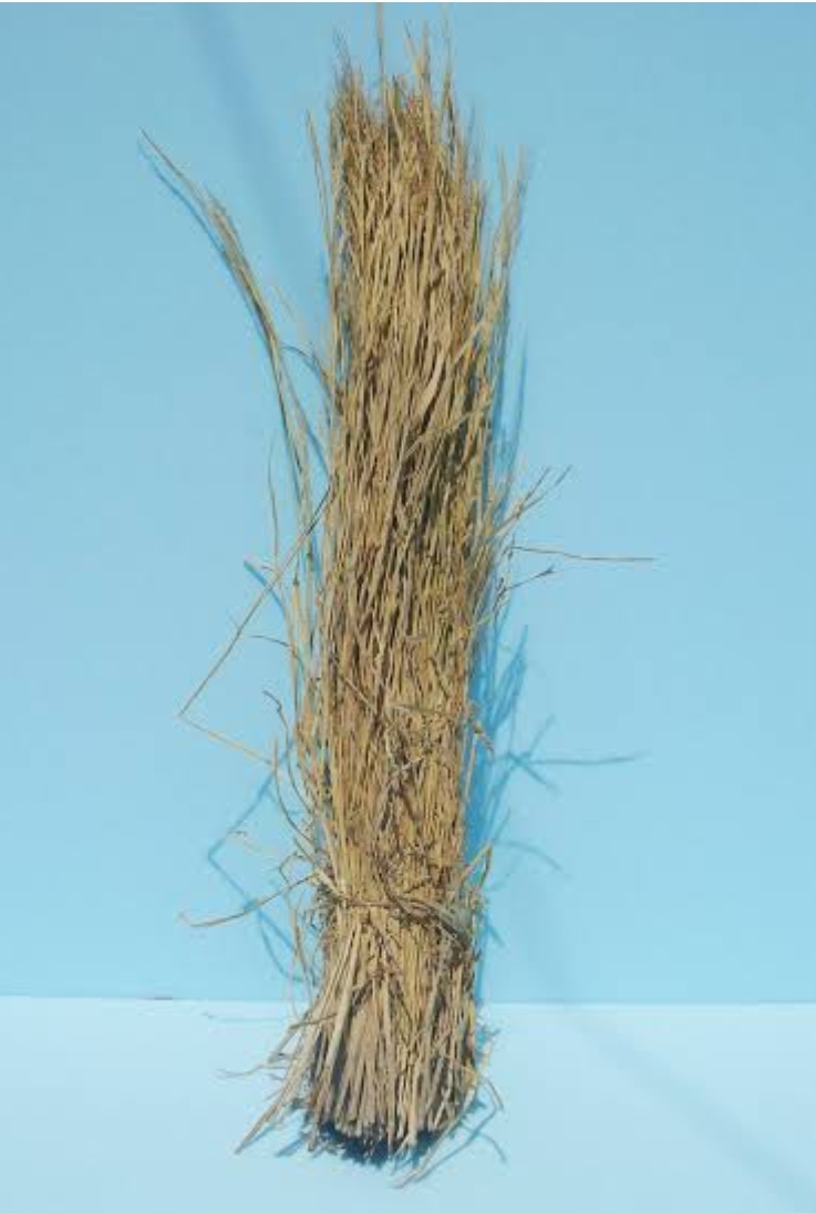 稲わら　250g
