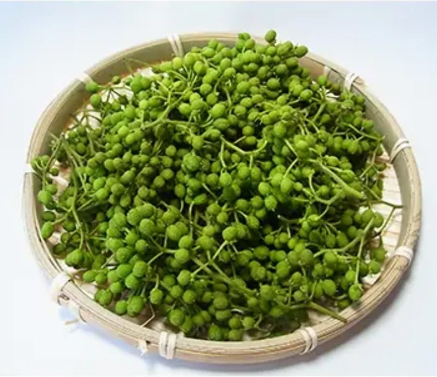冷凍　生実山椒　500g
