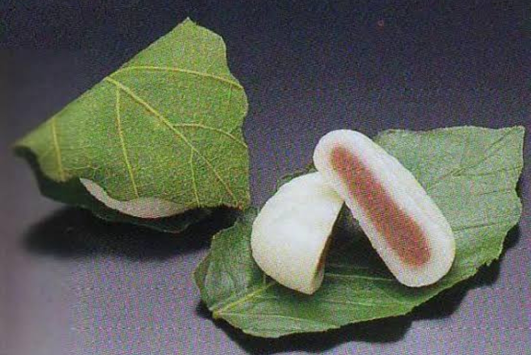 新　徳用　柏もち　２０ヶ