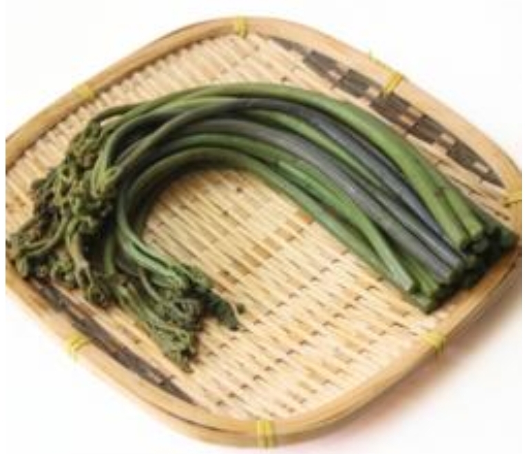 わらび水煮　１００ｇ×１０束
