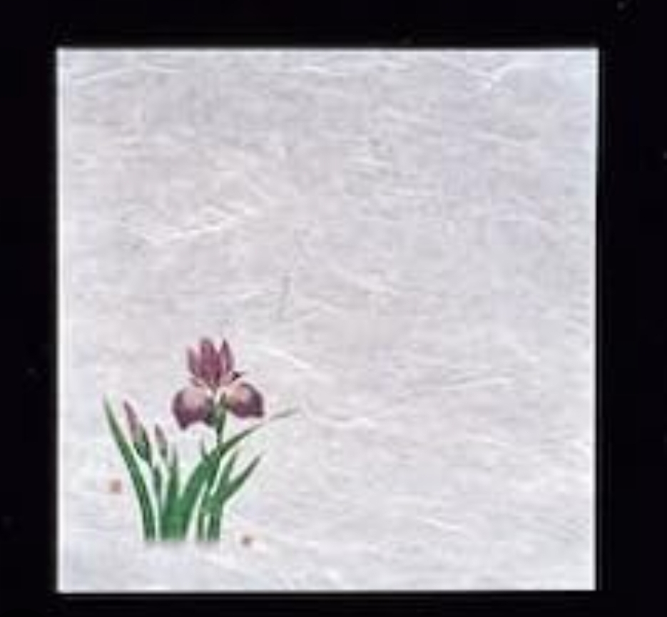 濡れ奉書　菖蒲　（100枚）幅×奥行(mm):200×200
