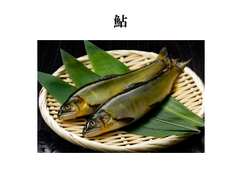 鮎