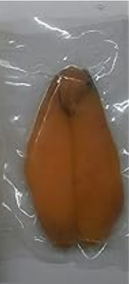 本からすみＪ（９０ｇ）