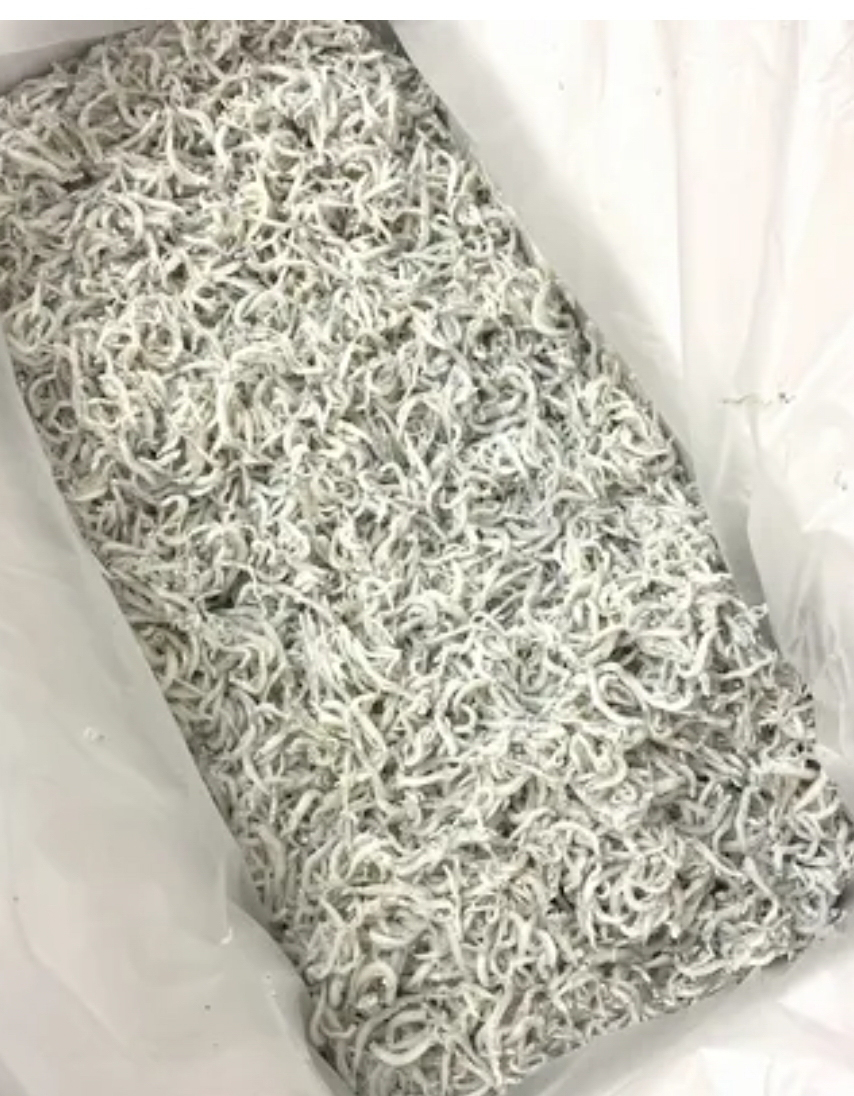 釜揚げしらす（１ｋｇ）