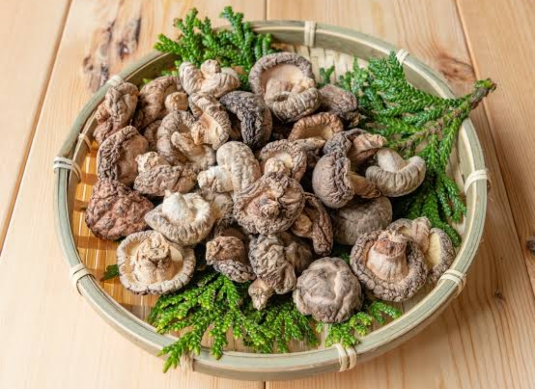 国産］椎茸　小どんこ　（１ｋｇ）選別