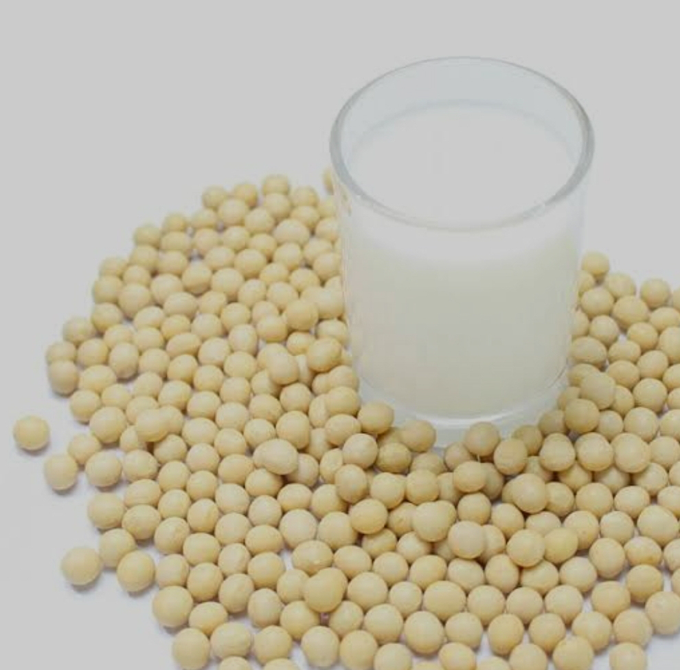 国産大豆豆乳　ｂｒｉｘ２０＞ニガリ付き　中島　Ｚ