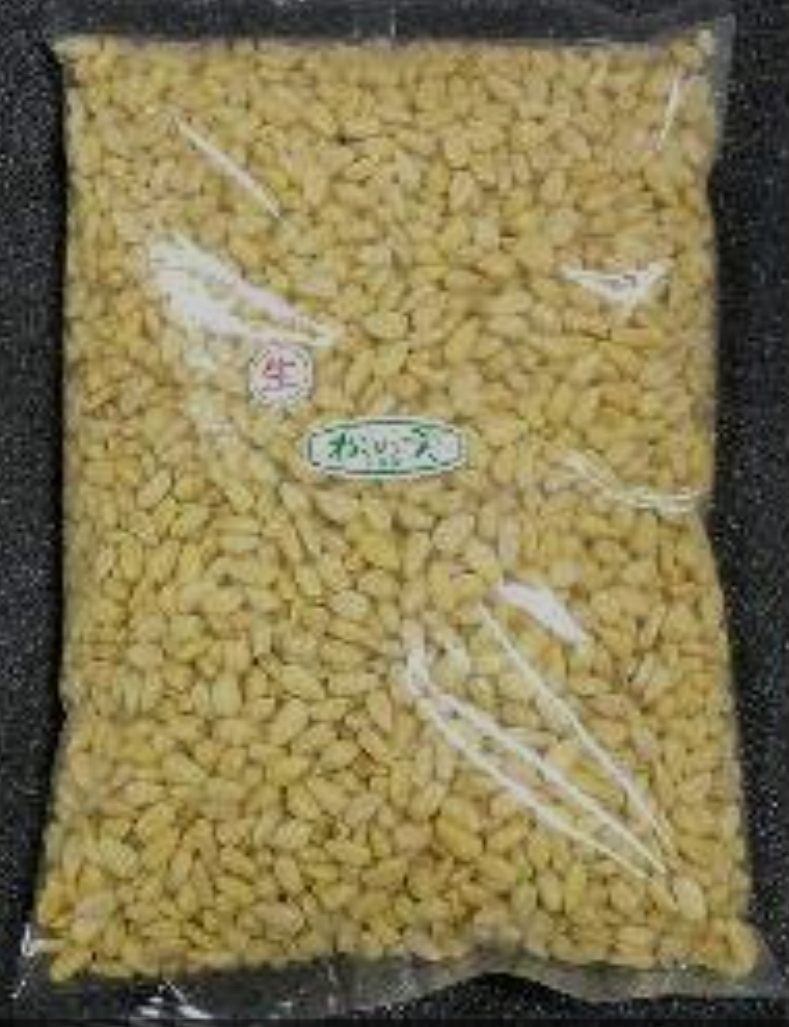 生　松の実（１ｋｇ）サンナッツ