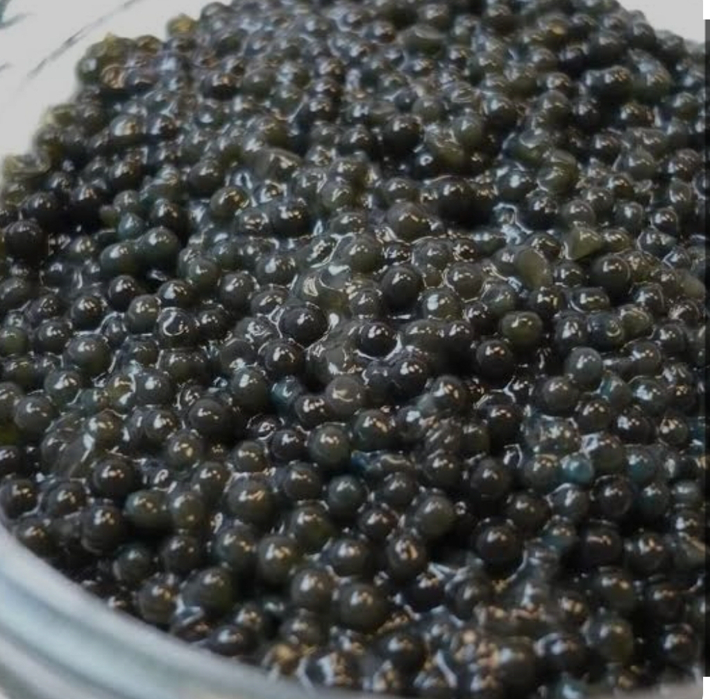 ランプキャビア　黒　（５０ｇ）
