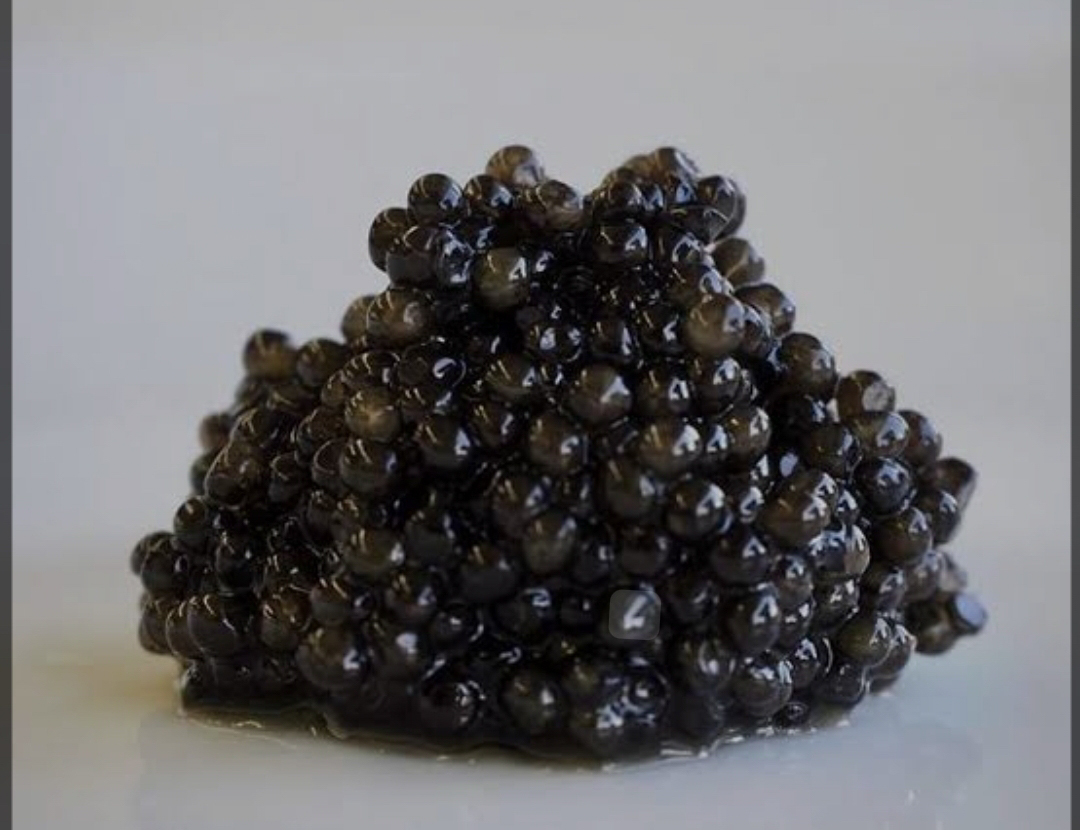 イタリア産　アルトナーキャビア　25g  瓶
